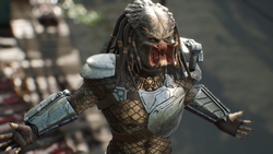 Predator Hunting Grounds