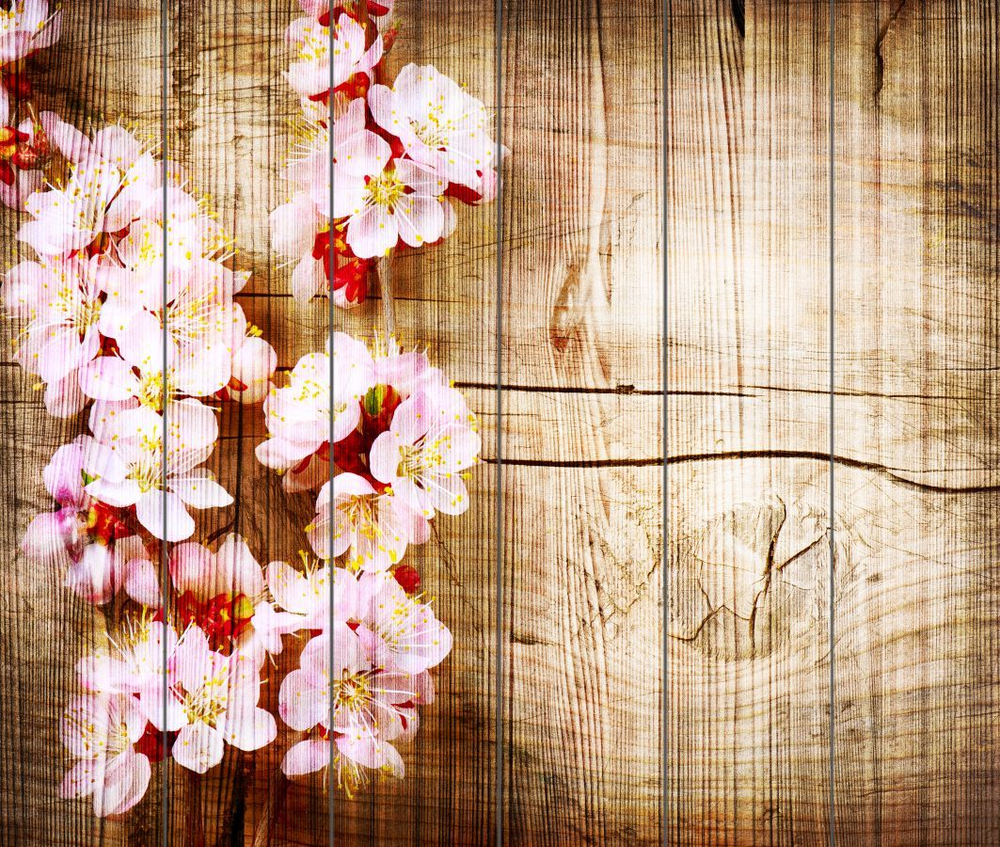 Панно из дерева Spring Blossom over wood backg