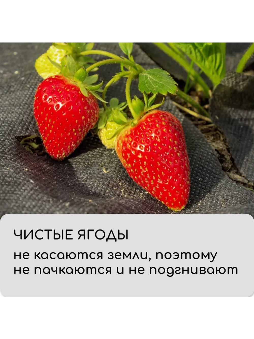 Мульчирующий материал