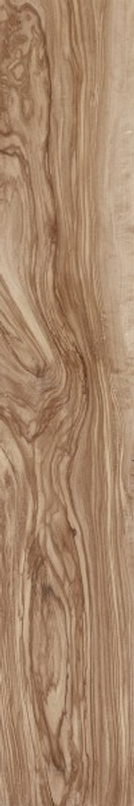 PEARSIAN WOOD NATURAL CW-CR03-B