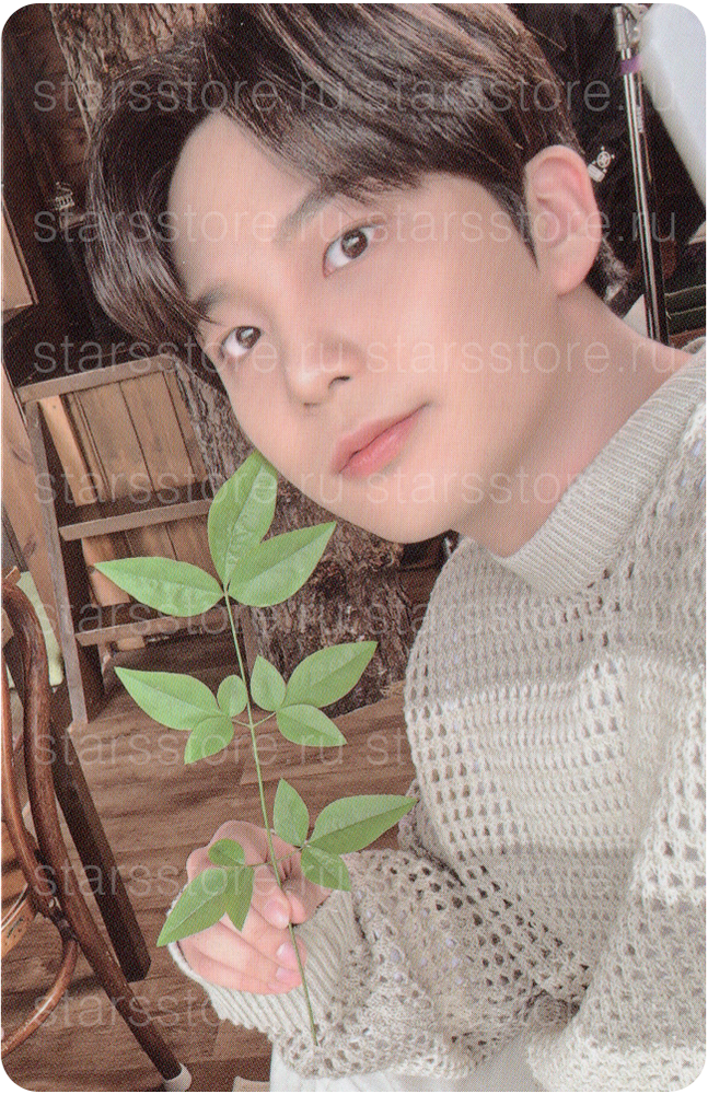 Фотокарта Jongho ATEEZ 2024 SUMMER PHOTOBOOK - (KQ Shop) Фотокарта Jongho ATEEZ 2024 SUMMER PHOTOBOOK - (KQ Shop)