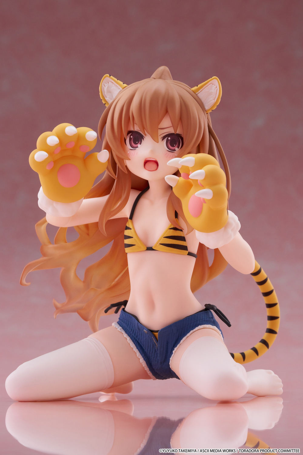 Айсака Тайга / Aisaka Taiga