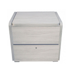 Сундучок психолога-дефектолога «Антошка» для ДОУ