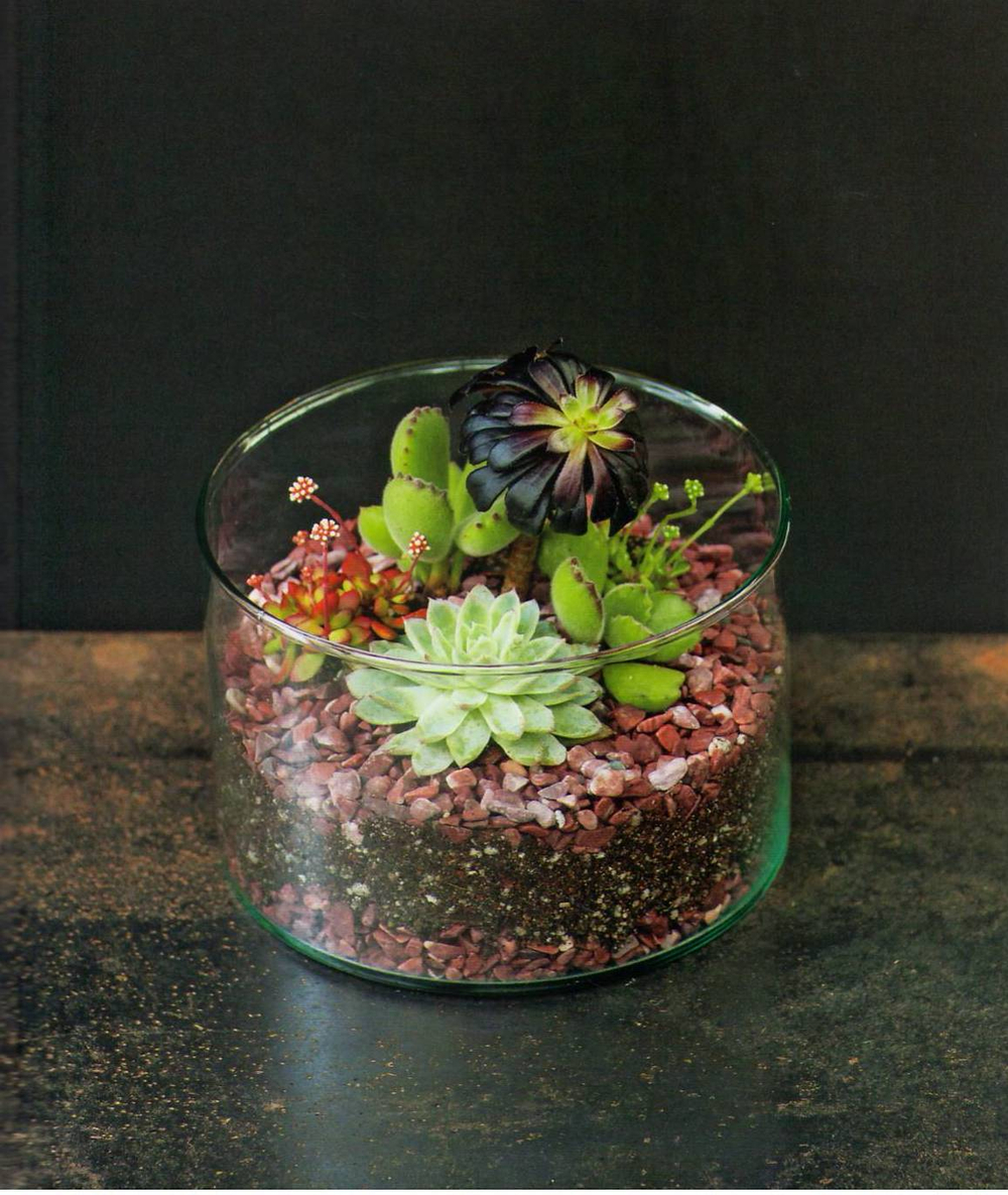 The Plant Recipe Book: 100 Living Arrangements for Any Home in Any Season