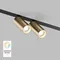 Трековый светильник SMART SPOT | СМАРТ СПОТ DK8012-BG Denkirs
