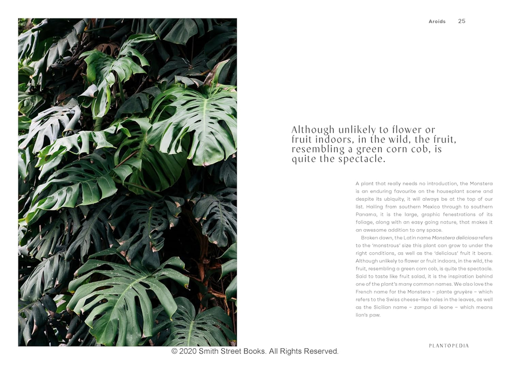 Plantopedia: The Definitive Guide to Houseplants