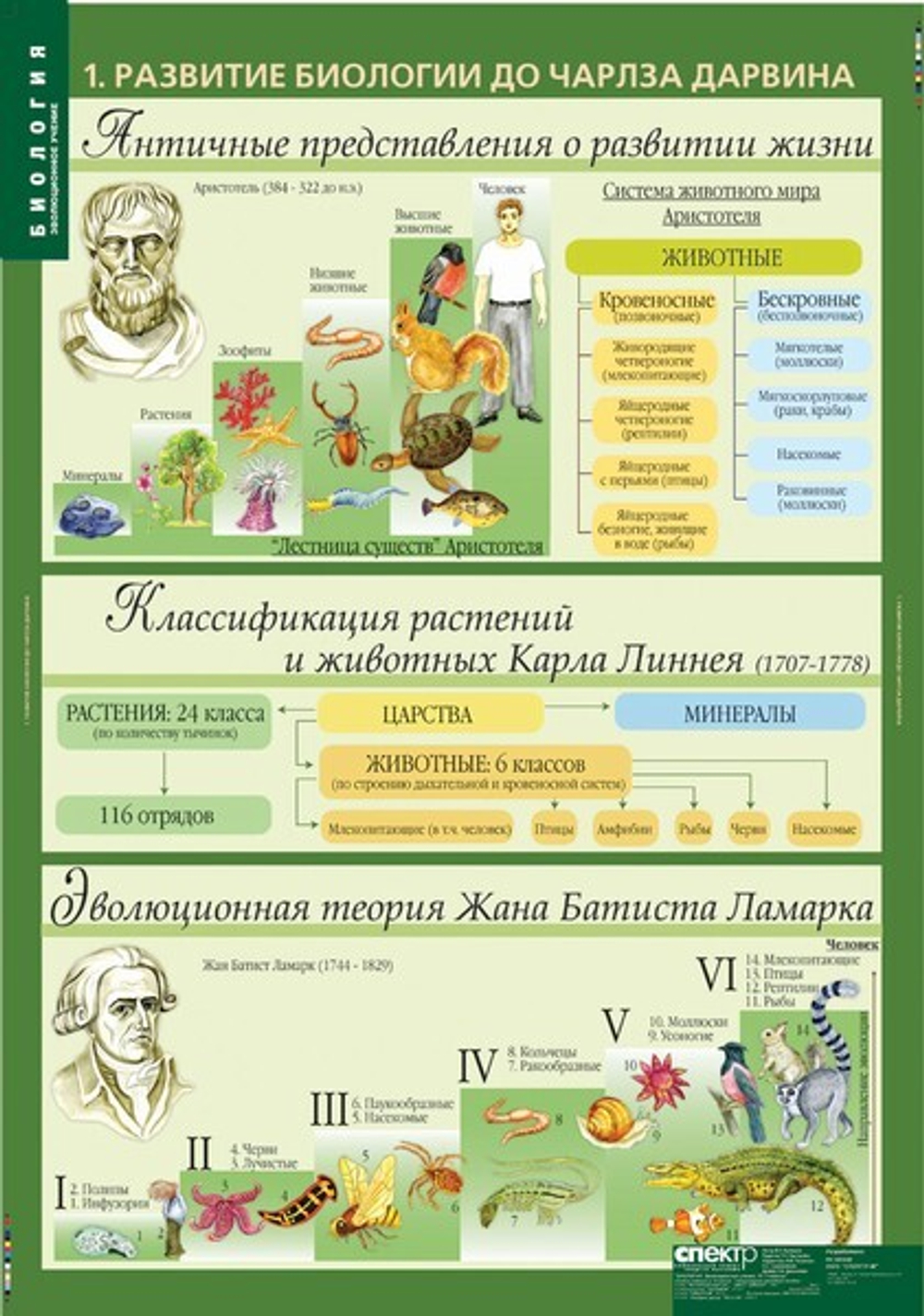 Комплект таблиц "Биология 10-11 кл. Эволюционное учение" (10 табл)