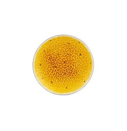 Тарелка десертная Bordallo Pinheiro Tropical Fruits Passion Fruit (21 см)