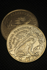 2 злотых 1998 года Польша Жаба Фауна Копия польской монеты