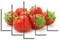 Модульная картина "Клубника"