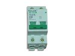 Выключатель-автомат двойной САИ-200/Automatic switch Assy