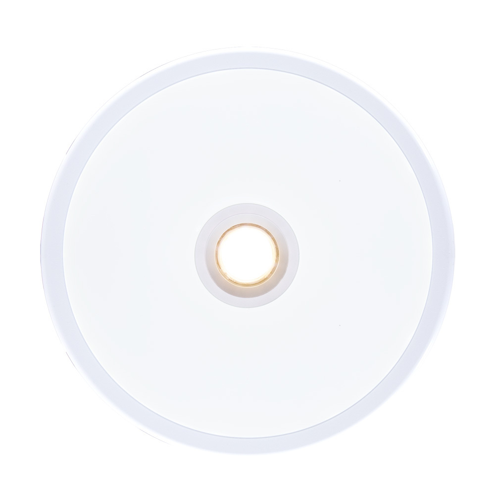 Светильник потолочный Arte Lamp Versus A2517PL-2WH