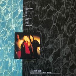 Nirvana. Nevermind. 30th Anniversary (LP + LP 7")