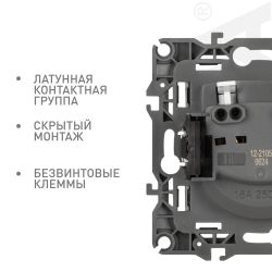 Розетка ЭРА Серия 12 12-2105-16 2P 16А-250В титан | Эра 12