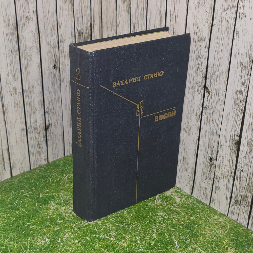 Книга "Босой"