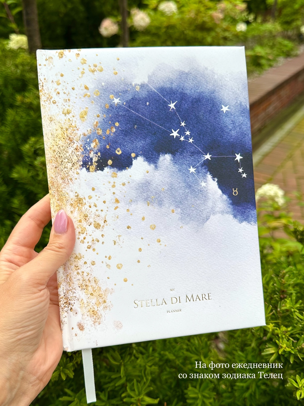Ежедневник Зодиак | Zodiac New Era - Козерог