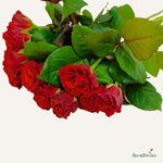 Фон карточки (38).png