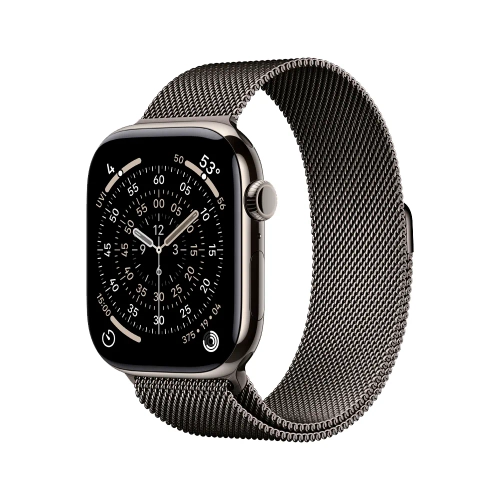 Умные часы Apple Watch Series 11 GPS + Cellular, 46mm, Natural Titanium Case with Slate Milanese Loop