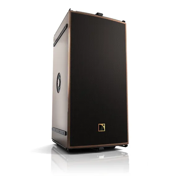 L Acoustics ARCSII