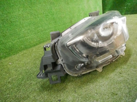 DSCN8795.jpg