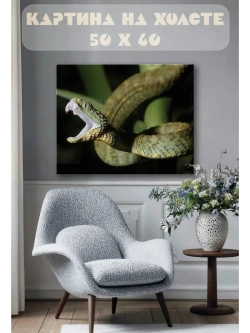 Картина на стену 40 X 50 Змея