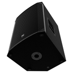 Electro-Voice EKX15P