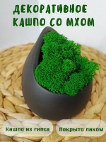 Декоративное кашпо из гипса со мхом черный матовый