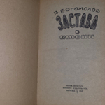 Застава в степи. Богомолов В.