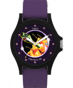 Наручные часы Timex TW2Y46300