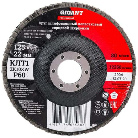 Круг лепестковый Professional 125х22.2 мм, P60, цирконий Gigant GNT-P60