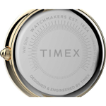 Женские наручные часы Timex TW2V24400