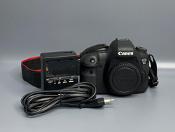 Canon EOS 6D 3 313 кадров