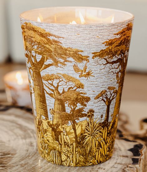 Cocody, свеча MAX 16 Sacred Trees collection, Baobab Collection