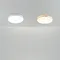 Потолочный светильник Sprida FR6129CL-L80W Freya