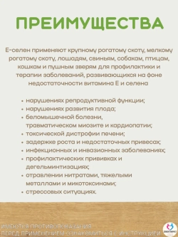 Е-Селен комплекс витамина Е и селена, раствор для инъекций, 100мл