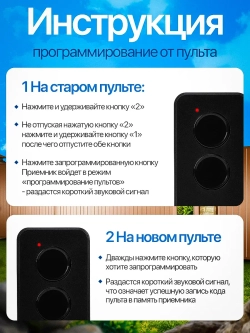 Пульт для ворот и шлагбаумов Transmitter 2-PRO