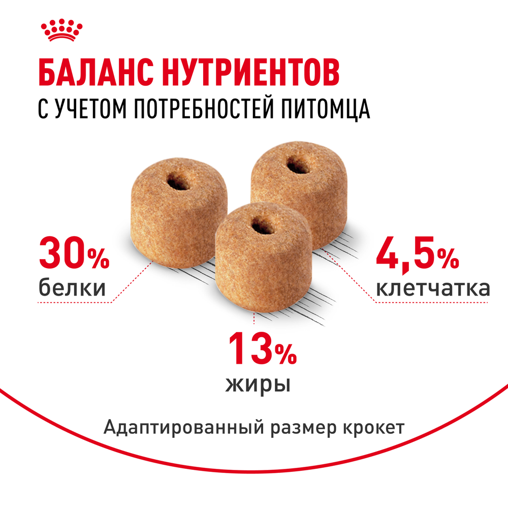 Royal Canin Labrador Retriever Лабрадор Ретривер Эдалт Корм сухой для взрослых собак породы Лабрадор Ретривер в возрасте от 15 месяцев 3кг