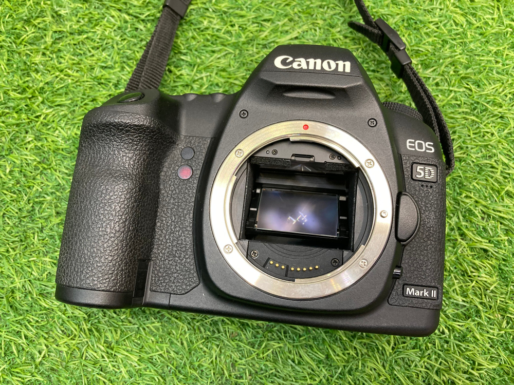 Canon EOS 5D Mark II 12.900 кадров