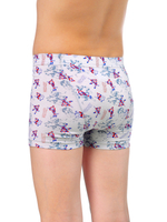 BSH-326/BSH-334-4 трусы для мальчиков