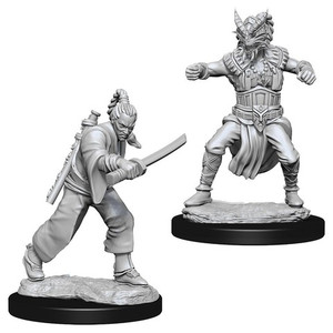 D&D Nolzur's Marvelous Miniatures - Male Human Monk