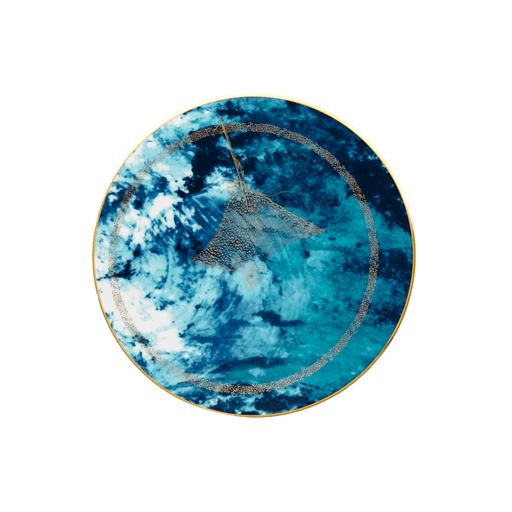 Тарелка для хлеба Haviland Ocean Bleu Ray
