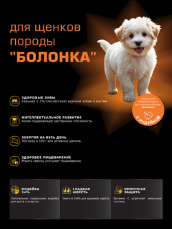 Корм сухой для щенков породы Болонка, с индейкой, 800 гр, QUATTRO