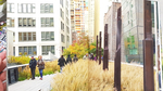 Gardens of the High Line. Piet Oudolf, Rick Darke