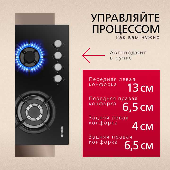 Газовая панель Hansa BHGI63112035