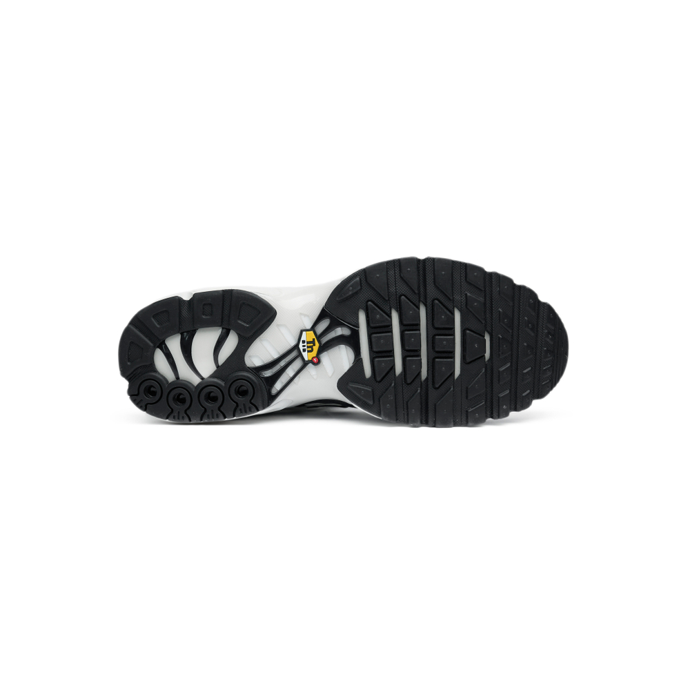 Кроссовки Nike Air Max Plus "Panda"