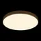 Потолочный светильник Flims 10228/B Loft It