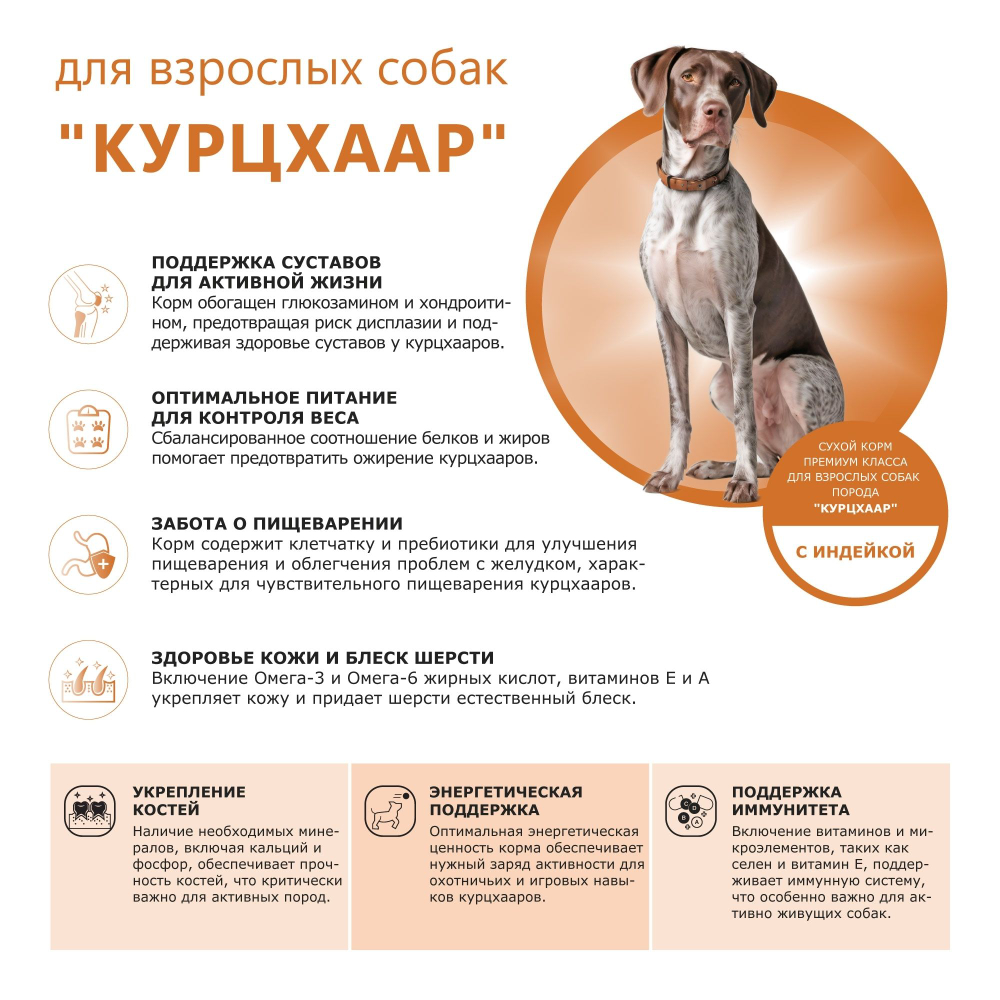 Корм сухой для взрослых собак породы Курцхаар, премиум полнорационный комплекс, с индейкой, 2,5 кг, QUATTRO