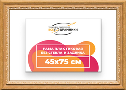 Рама 45x75 для картин и фотографий