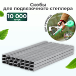 Скобы для подвязочного степлера тапенера 10000шт 604C