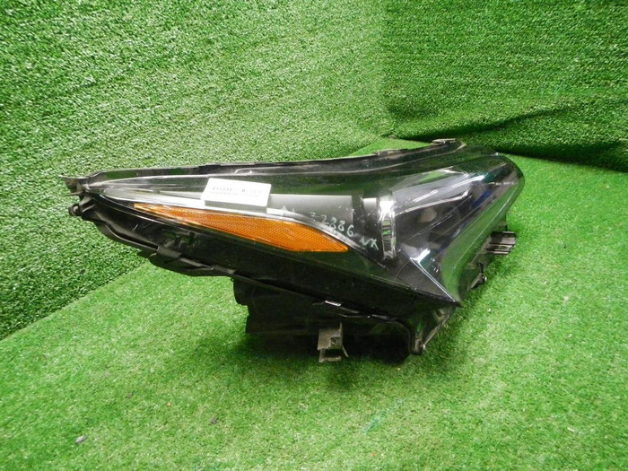DSCN6081.JPG